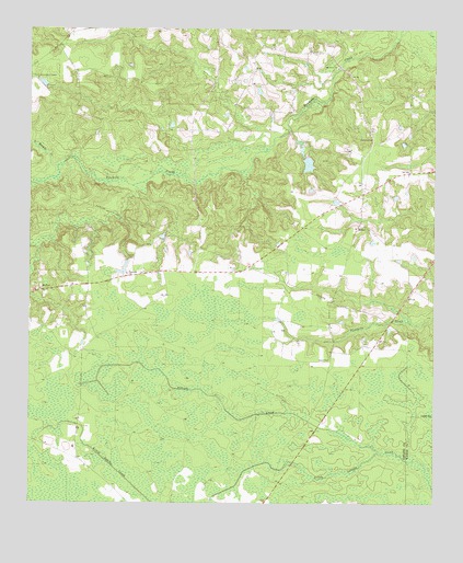 Altamaha SW, GA USGS Topographic Map
