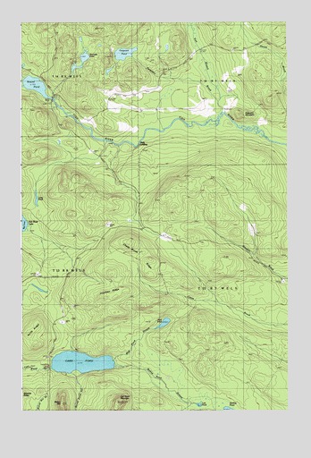 Carr Pond, ME USGS Topographic Map