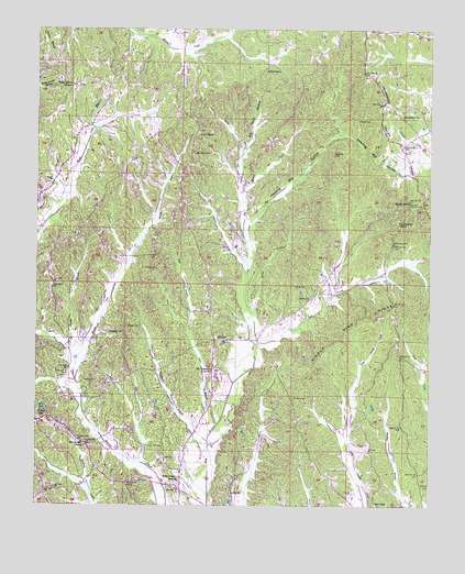 Altitude, MS USGS Topographic Map