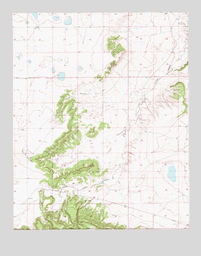 Alto De Hormiga, NM USGS Topographic Map
