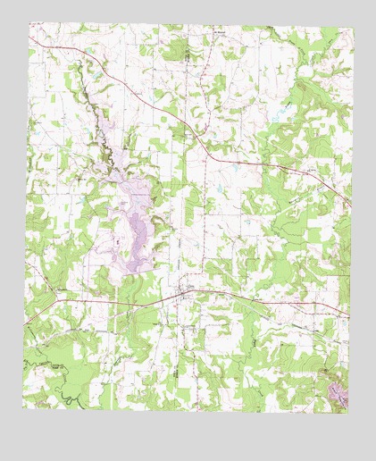 Cason, TX USGS Topographic Map