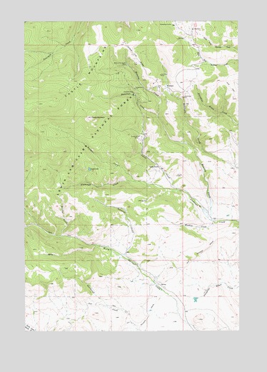 Castle Town, MT USGS Topographic Map