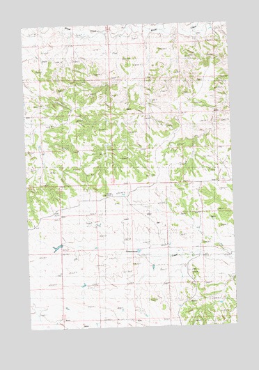 Cat Creek NW, MT USGS Topographic Map