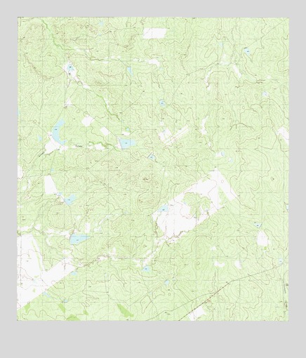 Arroyo Salado East, TX USGS Topographic Map