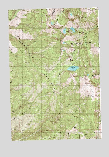 Bruin Hill, ID USGS Topographic Map