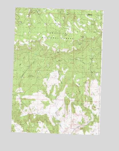 Collins Butte, OR USGS Topographic Map