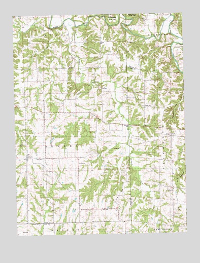 Fishhook, IL USGS Topographic Map