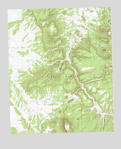 Largo Mesa, NM USGS Topographic Map