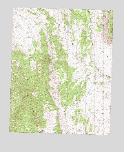 Shivwits, UT USGS Topographic Map