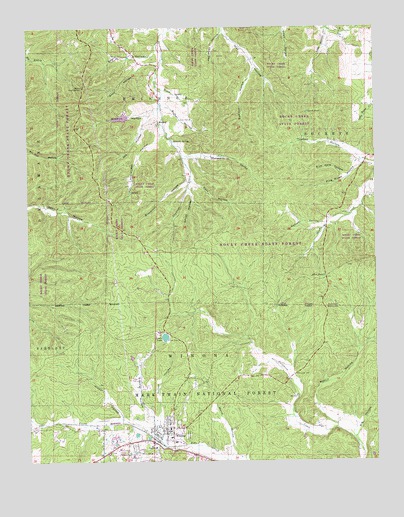 Winona, MO USGS Topographic Map