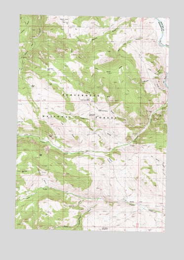 Cattle Gulch, MT USGS Topographic Map