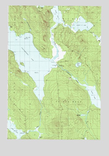 Caucomgomoc Lake East, ME USGS Topographic Map