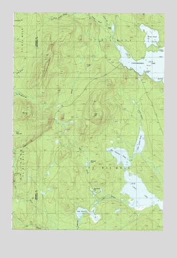 Caucomgomoc Lake West, ME USGS Topographic Map