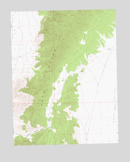 Cave Valley Well, NV USGS Topographic Map