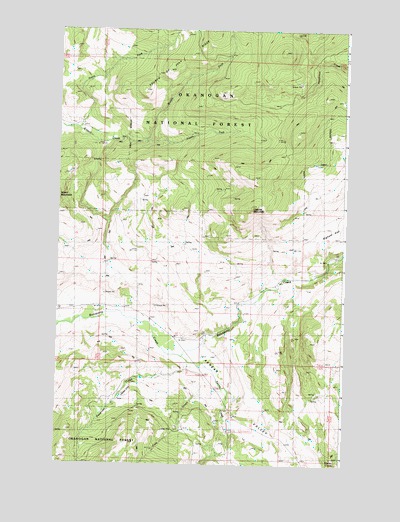 Cayuse Mountain, WA USGS Topographic Map