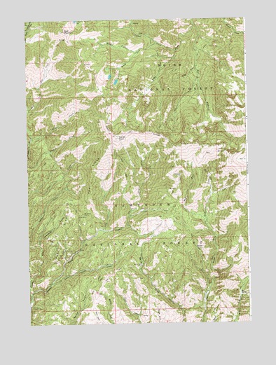 Cayuse Point, ID USGS Topographic Map