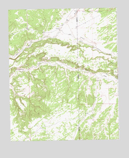 Ceadro Spring SE, AZ USGS Topographic Map