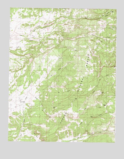 Cebolla, NM USGS Topographic Map