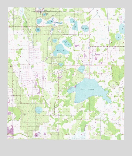 Alturas, FL USGS Topographic Map