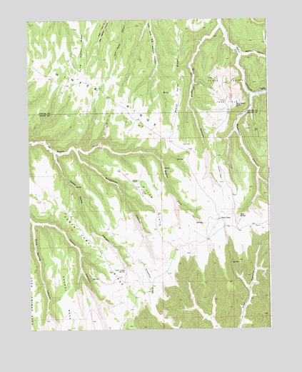 Cedar Camp Canyon, UT USGS Topographic Map