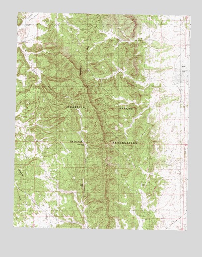 Cedar Canyon, NM USGS Topographic Map