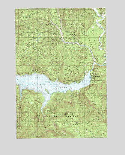 Cedar Flats, WA USGS Topographic Map