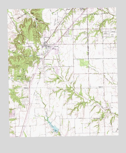 Cedar Hill, TX USGS Topographic Map