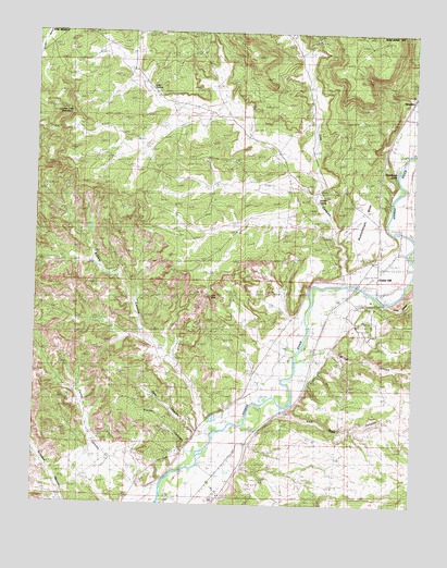 Cedar Hill, NM USGS Topographic Map
