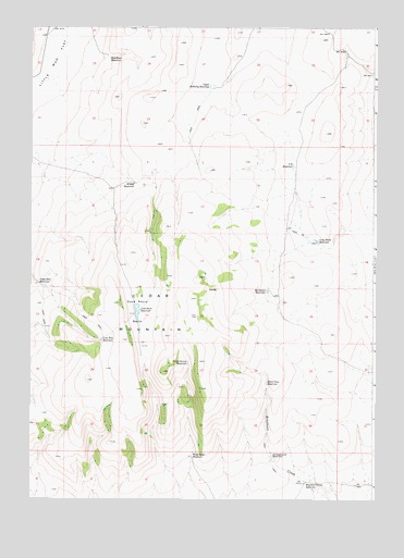 Cedar Mountain, OR USGS Topographic Map