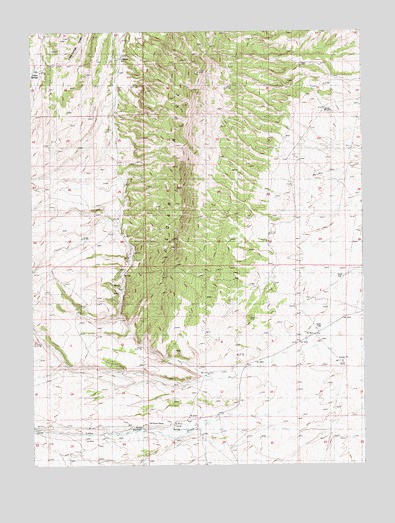 Cedar Ridge, NV USGS Topographic Map