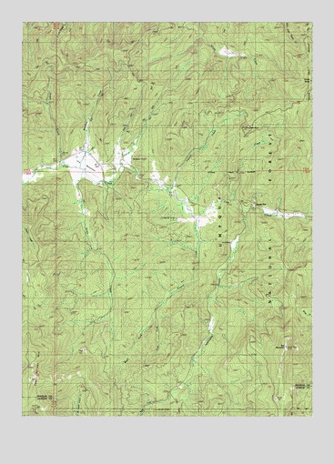 Cedar Springs Mountain, OR USGS Topographic Map