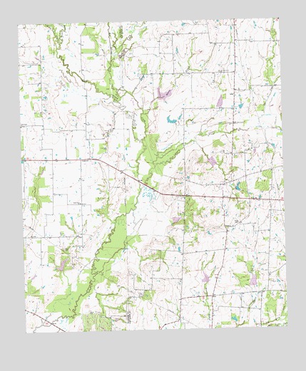 Cedarvale, TX USGS Topographic Map