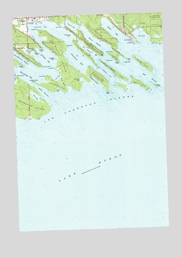 Cedarville, MI USGS Topographic Map