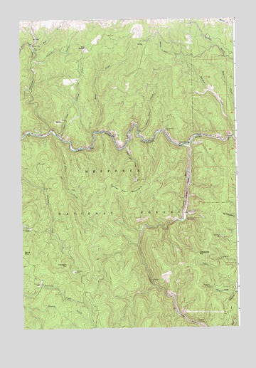 Center Star Mountain, ID USGS Topographic Map