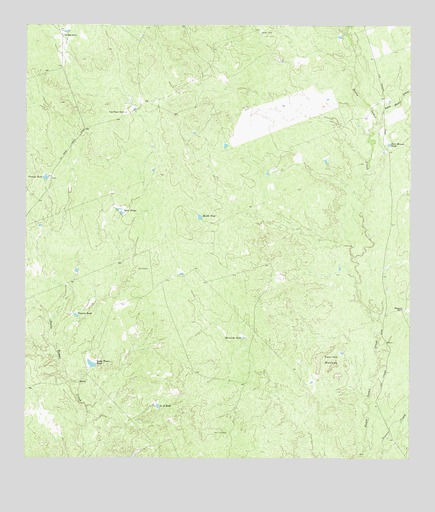 Cerritos Blancos, TX USGS Topographic Map