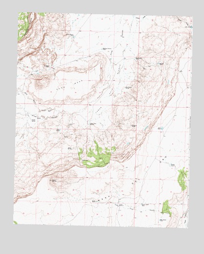 Cerro Del Oro, NM USGS Topographic Map