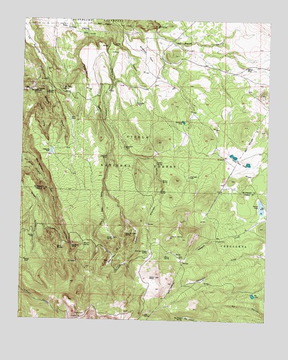 Cerro Pelon, NM USGS Topographic Map