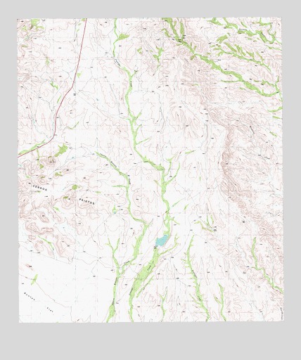 Cerros Prietos, TX USGS Topographic Map