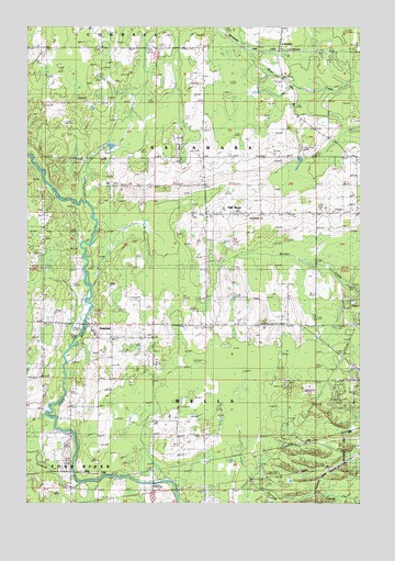 Chandler, MI USGS Topographic Map