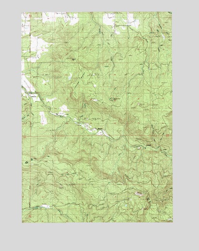 Chandler Mountain, OR USGS Topographic Map