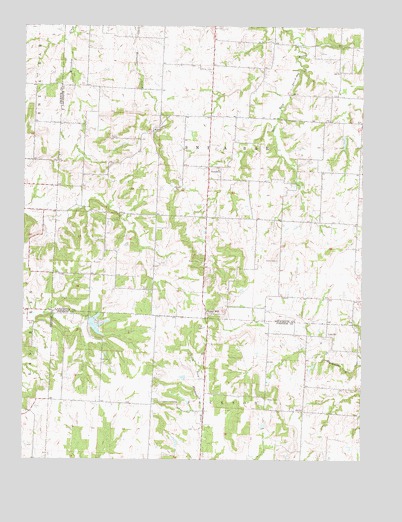 Chapel Hill, MO USGS Topographic Map