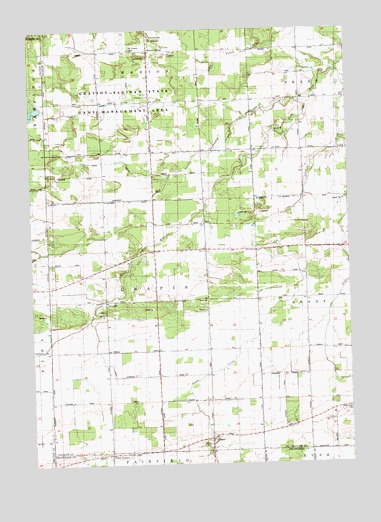 Chapin, MI USGS Topographic Map