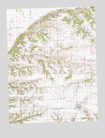 Chapin, IL USGS Topographic Map