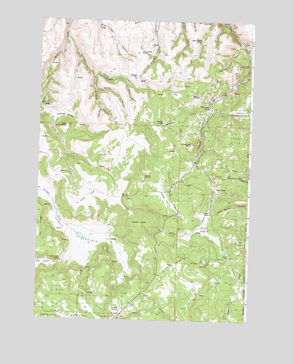 Chapin Creek, OR USGS Topographic Map