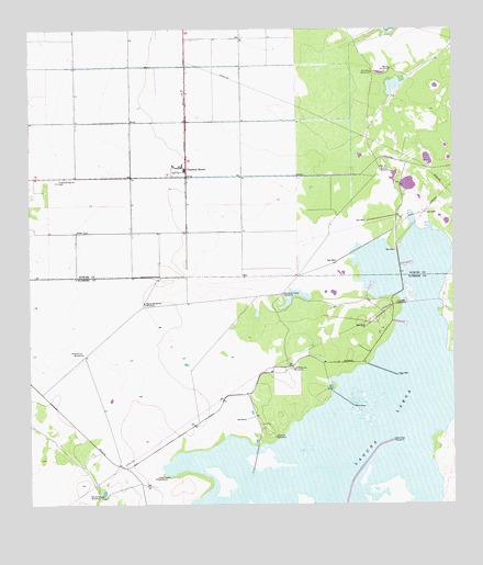 Chapman Ranch, TX USGS Topographic Map