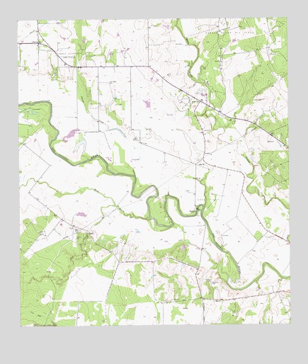 Charco, TX USGS Topographic Map