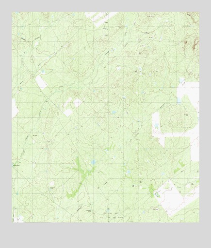 Chargos Creek, TX USGS Topographic Map