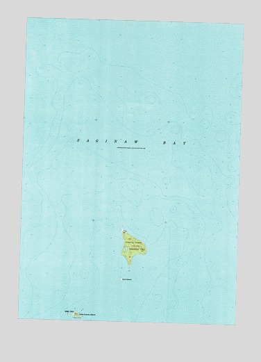 Charity Island, MI USGS Topographic Map