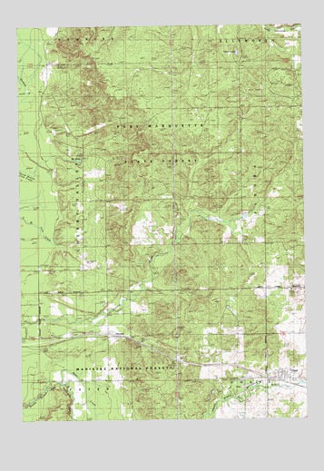 Chase, MI USGS Topographic Map