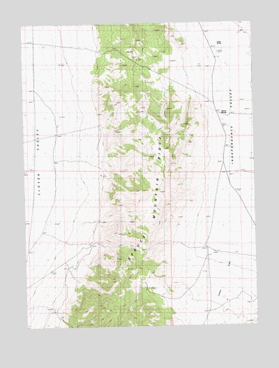 Chase Spring, NV USGS Topographic Map